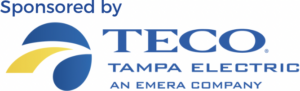 TECO logo